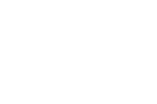 Larks Motor Group Ltd